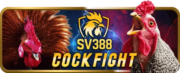 Trò chơi Bài dt88
